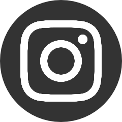 Instagram logo in circle
