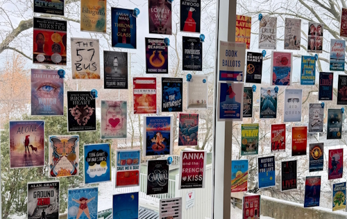 Photos of book covers on the windos