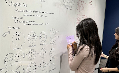 Two girls writing on a white board in a library study room